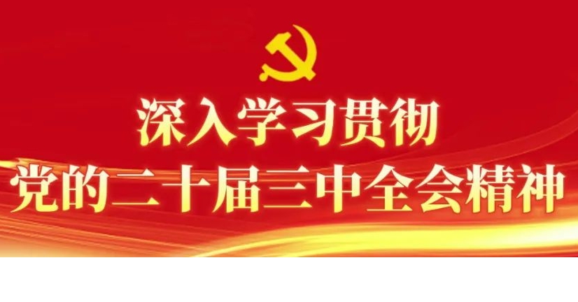 【深入学习贯彻党的二十届三中全会精神】